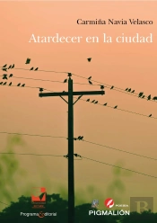 Atardecer En La Ciudad