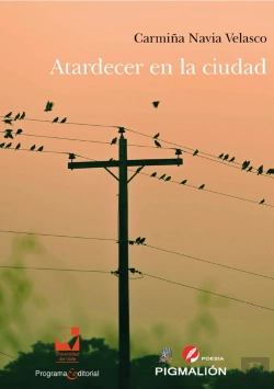 Bertrand.pt - Atardecer En La Ciudad