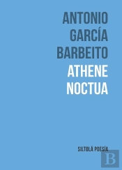 Athene Noctua