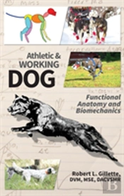 Athletic And Working Dog