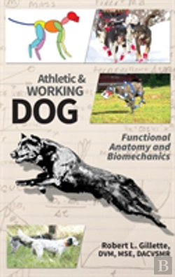 Bertrand.pt - Athletic And Working Dog