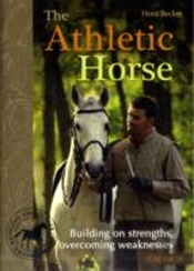 Athletic Horse