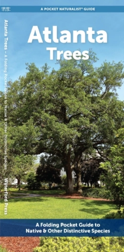 Bertrand.pt - Atlanta Trees