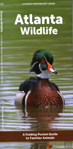 Bertrand.pt - Atlanta Wildlife