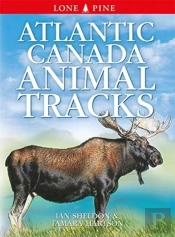 Atlantic Canada Animal Tracks