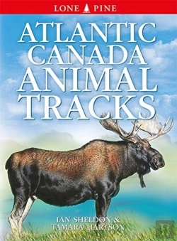 Bertrand.pt - Atlantic Canada Animal Tracks