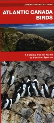 Atlantic Canada Birds
