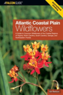 Atlantic Coastal Plain Wildflowers
