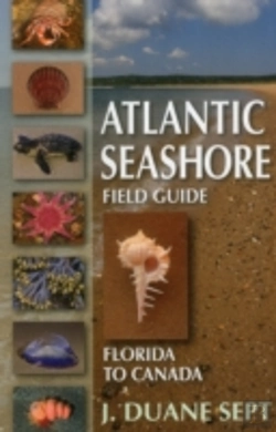 Bertrand.pt - Atlantic Seashore Field Guide