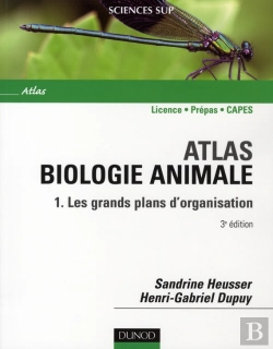 Bertrand.pt - Atlas Biologie Animale T.1 ; Les Grands Plans D'Organisation