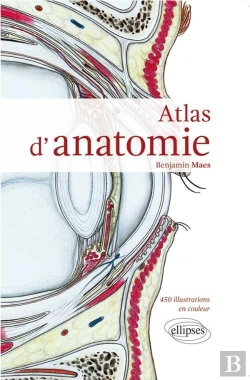 Bertrand.pt - Atlas D'Anatomie
