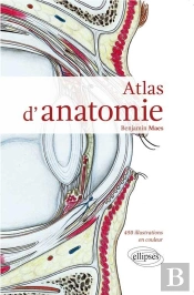 Atlas D'Anatomie