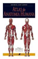 Atlas de Anatomia Humana