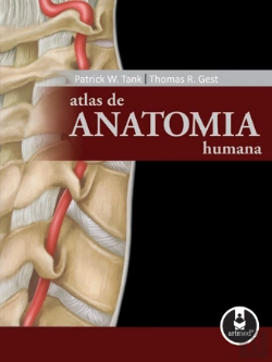 Bertrand.pt - Atlas de Anatomia Humana