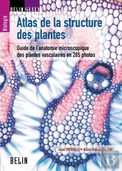 Atlas De La Structure Des Plantes