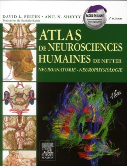 Bertrand.pt - Atlas De Neurosciences Humaines De Netter ; Neuroanatomie, Neurophysiologie (2e Édition)