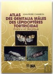 Atlas Des Genitalia Males Des - Chambon/Atlas Des Genitalia Males Des/Lepidopteres