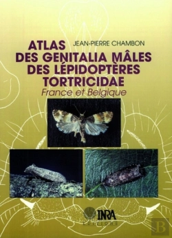 Bertrand.pt - Atlas Des Genitalia Mâles Des Lépidoptères Tortricidae De France Et Belgique