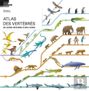 Atlas Des Vertébrés ; De Leurs Origines À Nos Jours