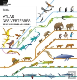 Bertrand.pt - Atlas Des Vertébrés ; De Leurs Origines À Nos Jours