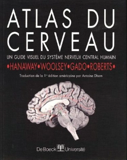 Bertrand.pt - Atlas Du Cerveau