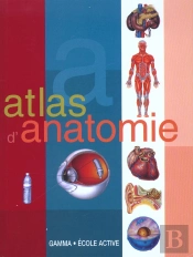 Atlas Du Corps Humain