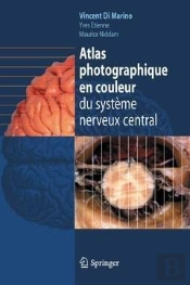 Atlas Du Systeme Nerveux Central En Coupes Seriees