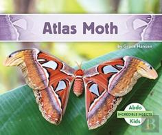 Atlas Moth