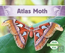 Bertrand.pt - Atlas Moth