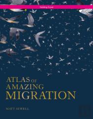 Atlas Of Amazing Migrations
