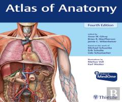 Atlas Of Anatomy