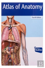 Atlas Of Anatomy