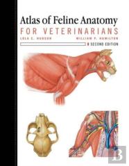 Atlas Of Feline Anatomy For Veterinarians
