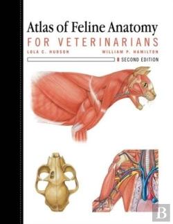 Bertrand.pt - Atlas Of Feline Anatomy For Veterinarians