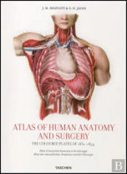 Bertrand.pt - Atlas of Human Anatomy and Surgery