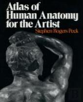 Atlas Of Human Anatomy For Artists