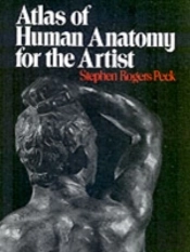 Atlas Of Human Anatomy For The Artist