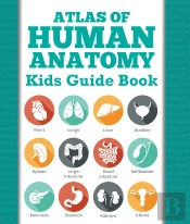 Atlas Of Human Anatomy: Kids Guide Book
