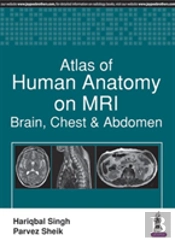 Atlas Of Human Anatomy On Mri