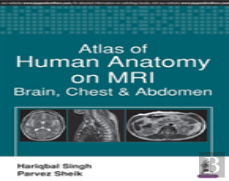 Atlas Of Human Anatomy On Mri