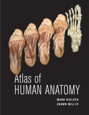 Atlas Of Human Anatomy