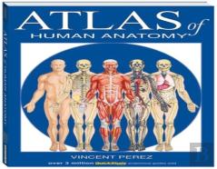 Atlas Of Human Anatomy