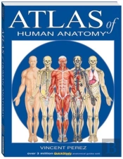 Atlas Of Human Anatomy