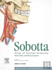 Atlas Of Human Anatomy Vol 3 15e Head Neck And Neuroanatomy