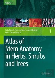 Atlas Of Stem Anatomy In Herbs, Shrubs And Trees