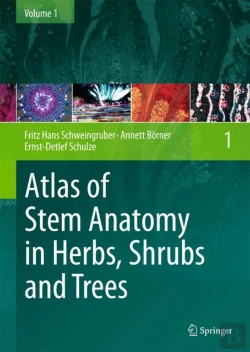 Bertrand.pt - Atlas Of Stem Anatomy In Herbs, Shrubs And Trees