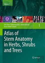 Atlas Of Stem Anatomy In Herbs, Shrubs And Trees