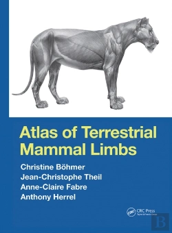 Bertrand.pt - Atlas Of Terrestrial Mammal Limbs