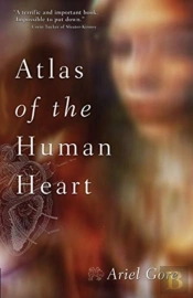 Atlas Of The Human Heart