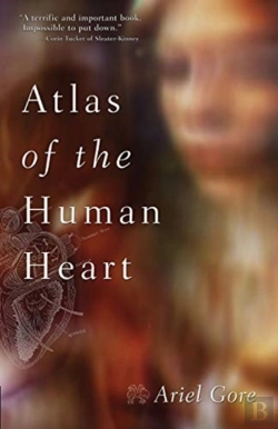 Bertrand.pt - Atlas Of The Human Heart
